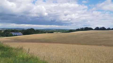 Blick auf die Landschaft auf der Radtour - Moorgeistroute