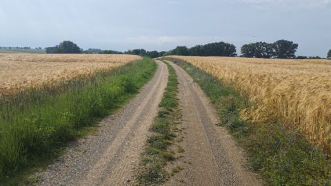 Wegbeschaffenheit und Blick auf die Landschaft auf der Radtour Gielow - Liepen - Faulenrost - Zettemin